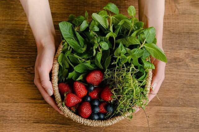 Foto de mãos segurando uma cesta repleta de alimentos saudáveis para manter o seu bem-estar emocional. A foto ilustra o artigo 10 Melhores Práticas para Promover o Bem-Estar Emocional escrito pelo psicanalista Homero Mônaco para o site Online Psicanalista.