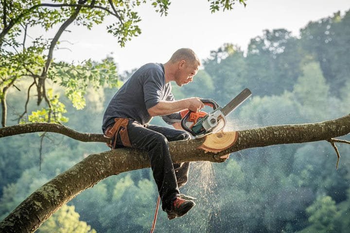 Foto de um homem loiro sentado no galho de uma árvore bem alta serrando-o com uma serra elétrica bem na sua frente, o que o fará cair, pois esta fazendo uma autossabotagem a si mesmo.A foto ilustra o artigo 7 Maneiras como a terapia ajuda a superar hábitos autossabotadores escrito pelo psicanalista Homero Mônaco para o site Online Psicanalista.